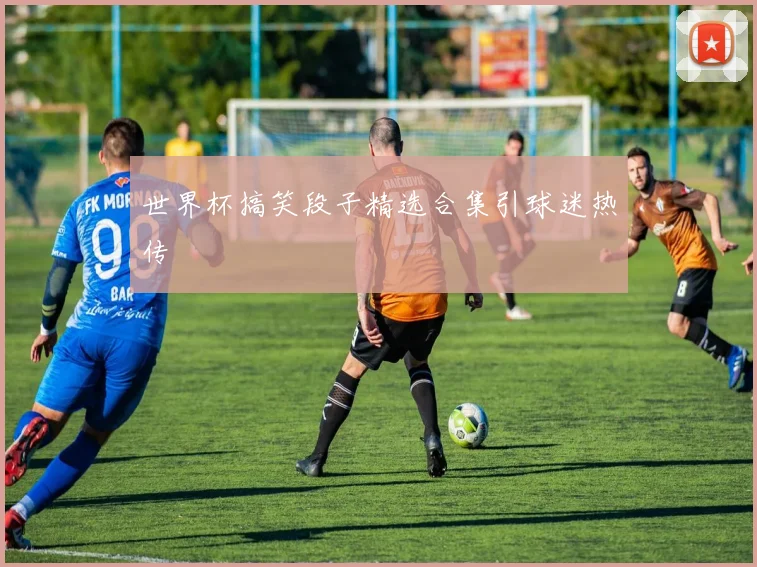 世界杯搞笑段子精选合集引球迷热传