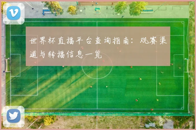 世界杯直播平台查询指南:观赛渠道与转播信息一览