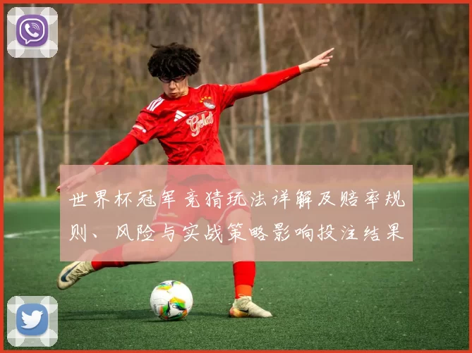 世界杯冠军竞猜玩法详解及赔率规则、风险与实战策略影响投注结果