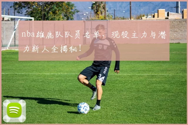 nba雄鹿队队员名单,现役主力与潜力新人全揭秘!