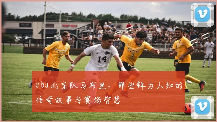 cba北京队马布里，那些鲜为人知的传奇故事与赛场智慧